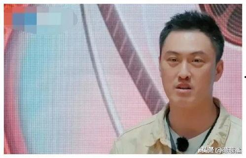 吃瓜最近娱乐圈,吃瓜群众热议最新热点事件